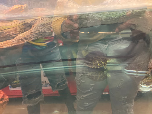 Pet Supply Store «Petco Animal Supplies», reviews and photos, 1207 S Caraway Rd, Jonesboro, AR 72401, USA