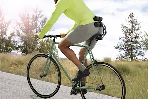 ROLLERBACK® Fahrrad Rückenunterstützung image