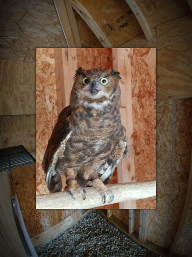 Park «Vogelei Park & Barn», reviews and photos, 650 W Higgins Rd, Hoffman Estates, IL 60169, USA