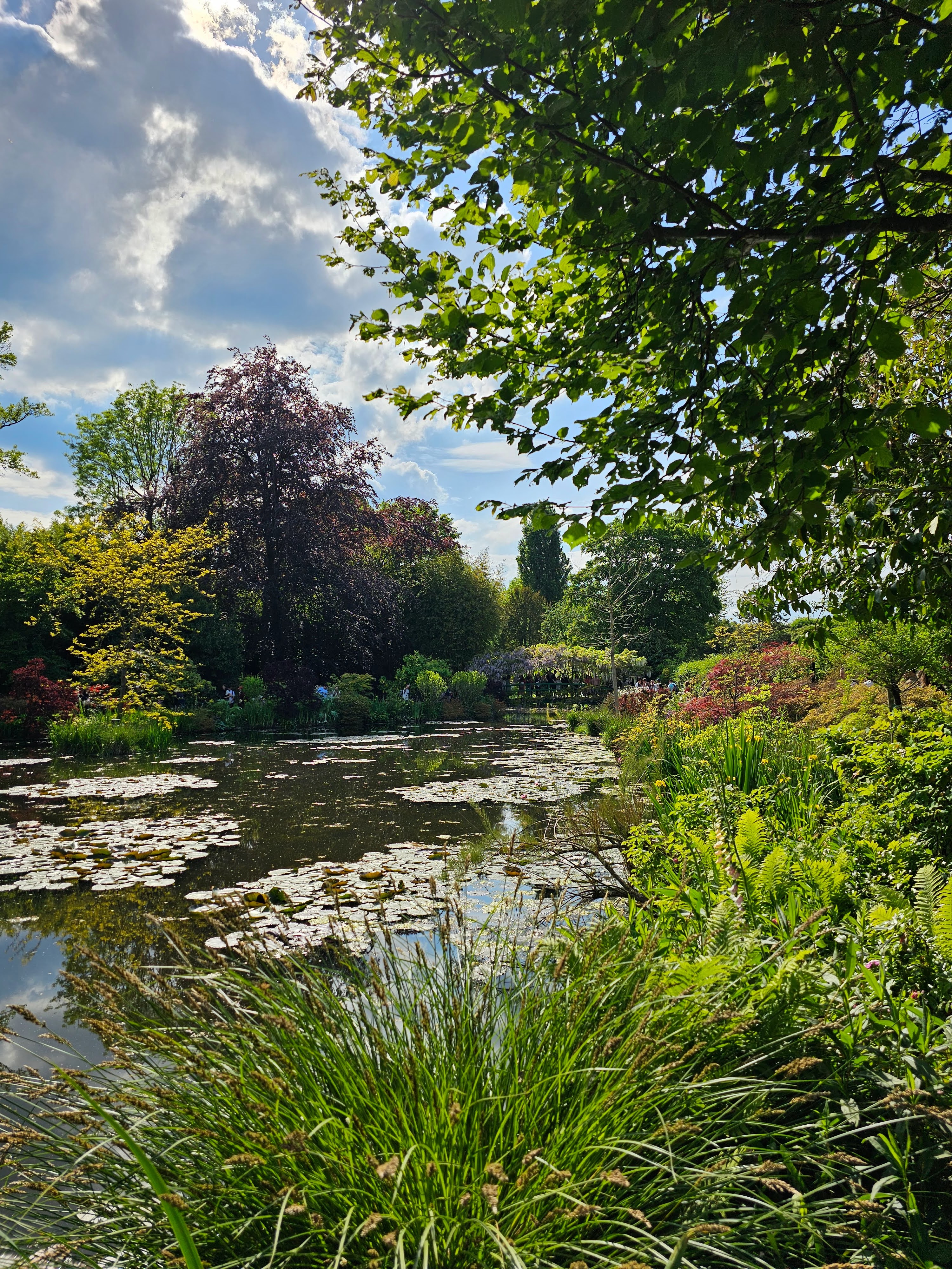 Photo n° 7 de l'avis de Alexandre.o fait le 21/05/2023 à 14:40