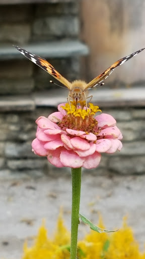 Park «Glenwood Gardens», reviews and photos, 10397 Springfield Pike, Cincinnati, OH 45215, USA