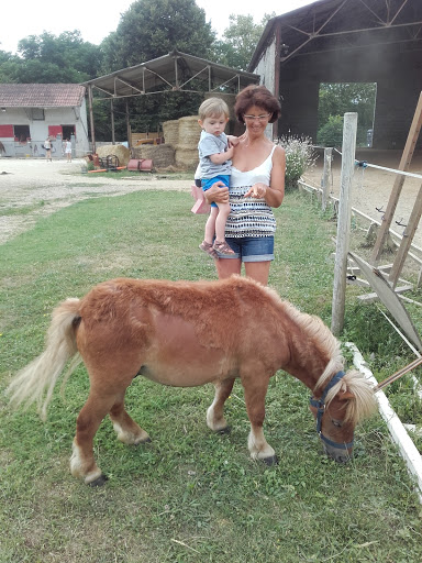 Stables Sports Des Quatre Temps Poney club À Razac Sur L'isle à Razac-sur-l'Isle, Dordogne