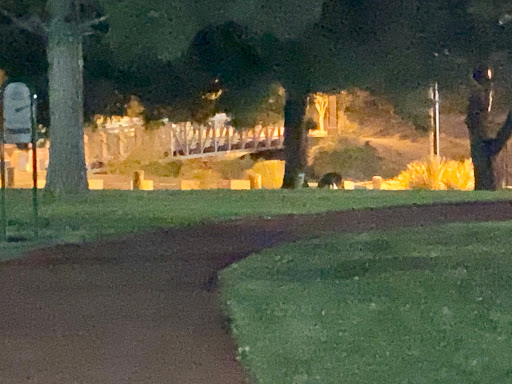 Park «Angel Park», reviews and photos, Angel Park Trail, Las Vegas, NV 89145, USA