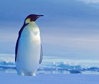 Pro Edge Services and Training, Inc. - Photo 3 - Car repair in Oakdale, CA, Modesto