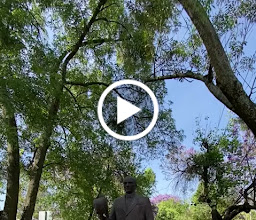 Atatürk Heykeli Monument Monumento photo