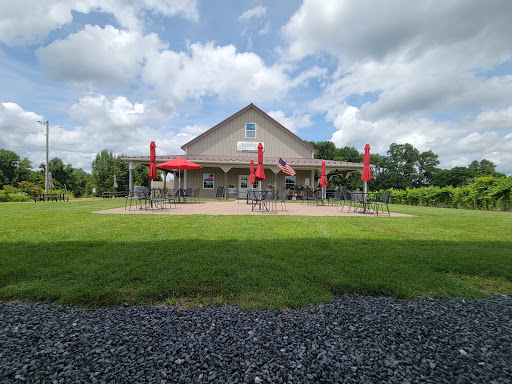 Vineyard «Romano Vineyard & Winery», reviews and photos, 15715 Bald Eagle School Rd, Brandywine, MD 20613, USA