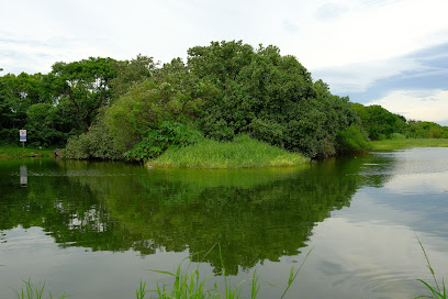 鹿角溪人工湿地