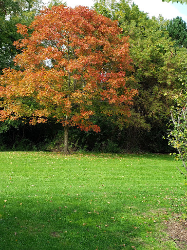 Recreation Center «Meri Lou Murray Recreation Center», reviews and photos, 2960 Washtenaw Ave, Ann Arbor, MI 48104, USA
