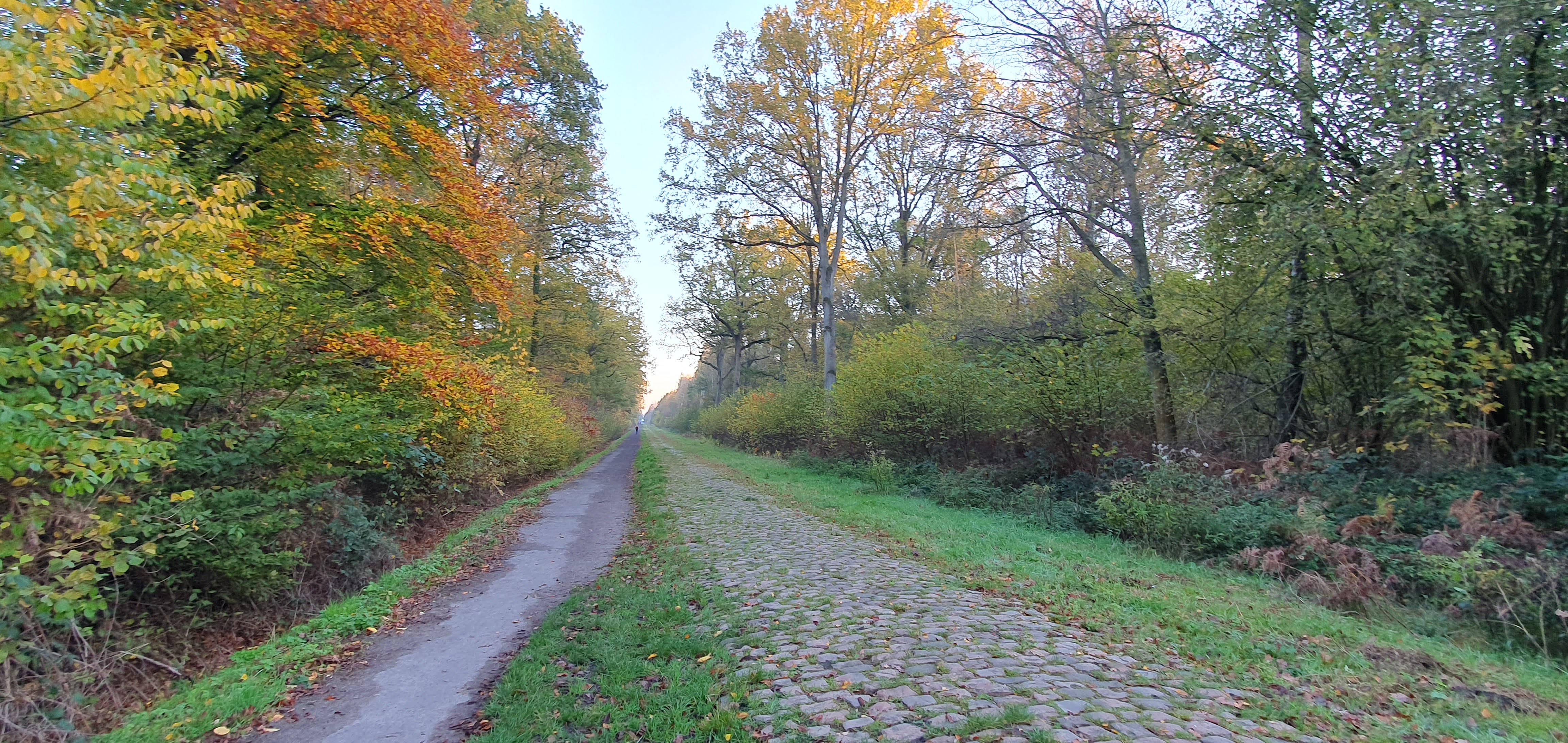 Photo n° 1 de l'avis de Alain.o fait le 26/11/2022 à 14:56