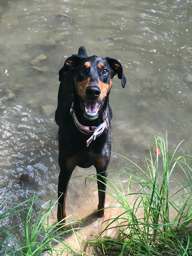 Real Estate Developer «Mill Valley North by Pulte Homes», reviews and photos, 202 Triple Crown Way, Marysville, OH 43040, USA