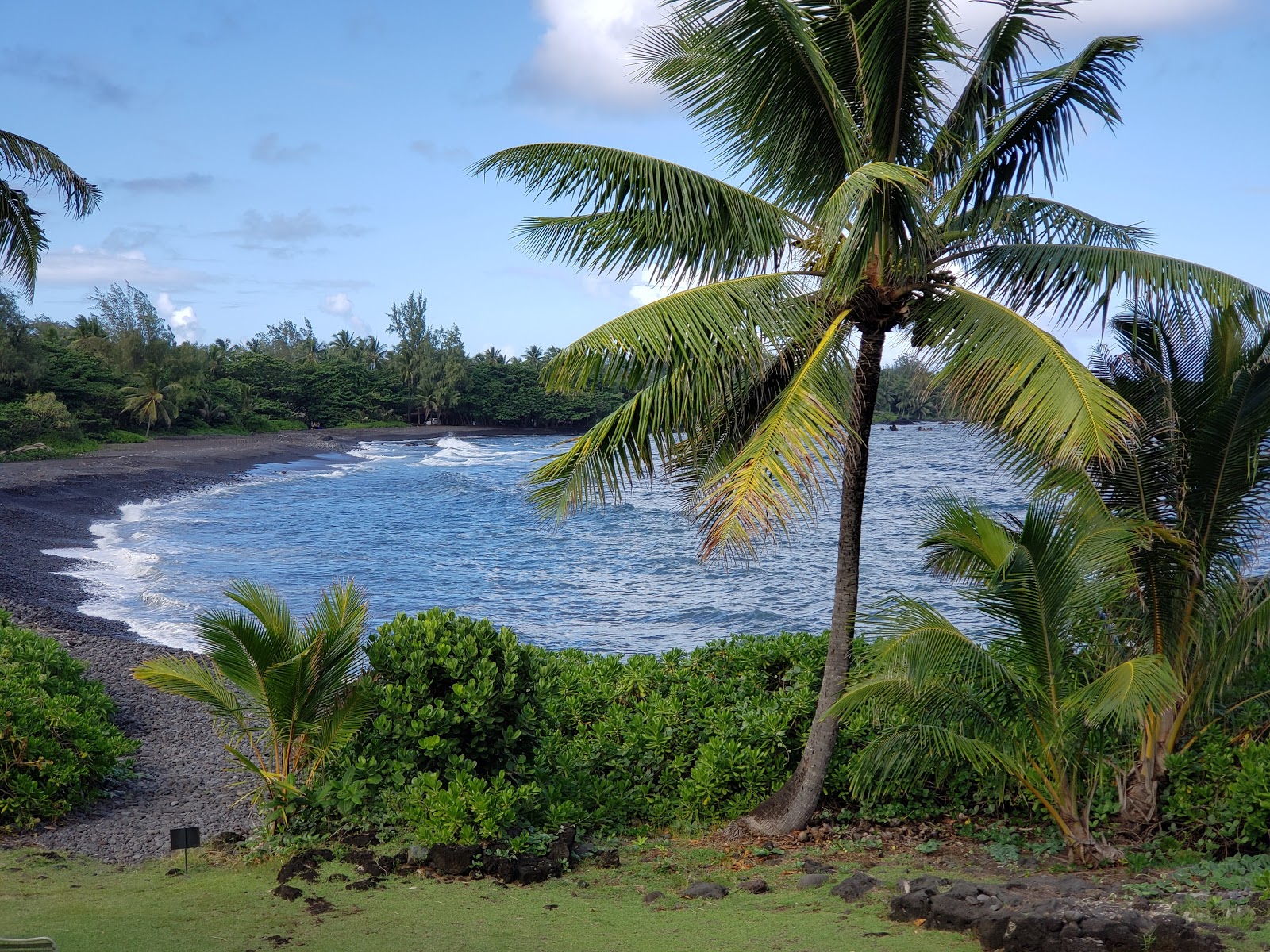 Waikaloa Bay Beach的照片 具有非常干净级别的清洁度