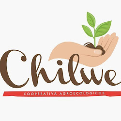 Emporio Chilwe Productos Orgánicos