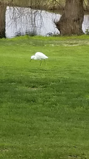 Golf Course «Diamond Oaks Golf Course», reviews and photos, 349 Diamond Oaks Rd, Roseville, CA 95678, USA