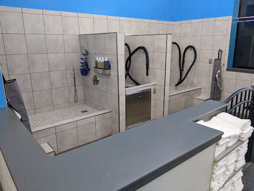 Pet Supply Store «Pet Supplies Plus», reviews and photos, 19295 West Rd, Woodhaven, MI 48183, USA