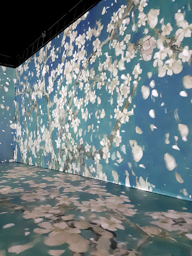 Shopping Mall «Eastern Hills Mall», reviews and photos, 4545 Transit Rd, Williamsville, NY 14221, USA