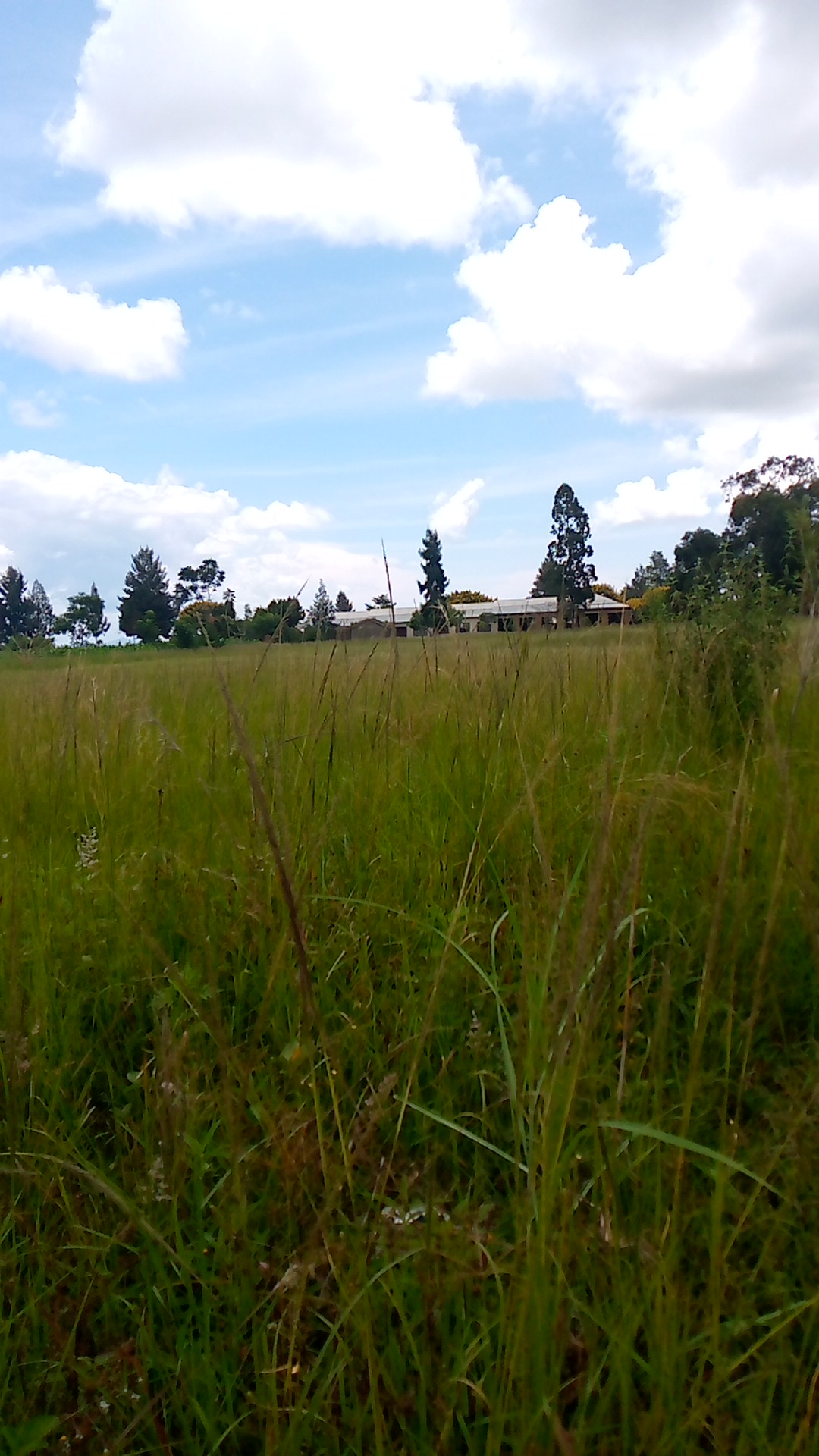 Maziwa Secondary School