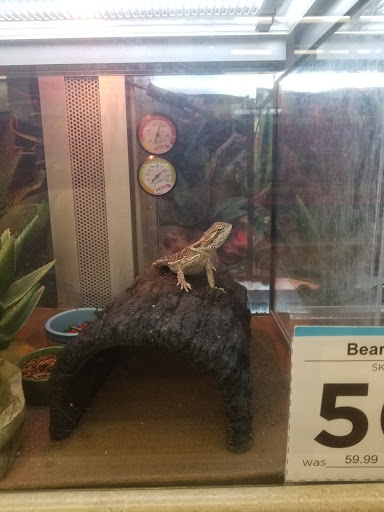 Pet Supply Store «Petco Animal Supplies», reviews and photos, 3380 124th Ave NW, Coon Rapids, MN 55433, USA