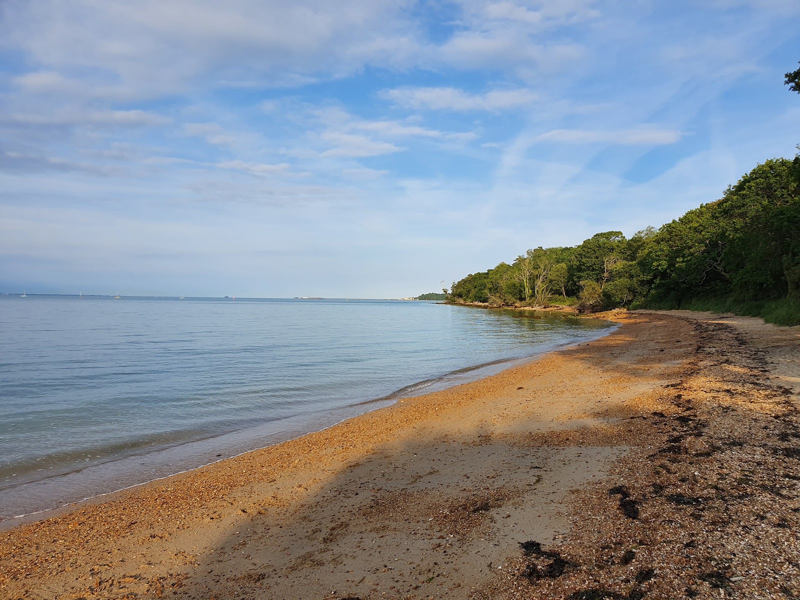 Woodside Beach的照片 带有米色沙子与卵石表面