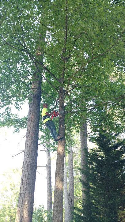 McDowell's Tree Service & Grading