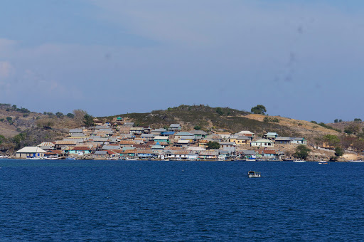 Cruise Agency «World Travel Inc», reviews and photos, 2525 NW Upshur St, Portland, OR 97210, USA