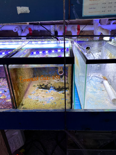 Pet Store «Fish Bowl Aquarium & Pet Mart», reviews and photos, 725 Providence St, West Warwick, RI 02893, USA