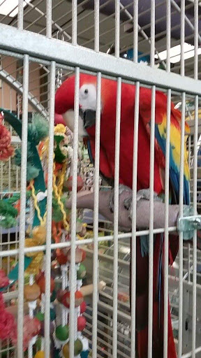 Pet Store «The Enclosure», reviews and photos, 1820 Golden Mile Hwy, Pittsburgh, PA 15239, USA