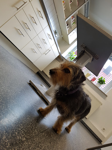 Tierarztpraxis Dr. Johanna Stieber unter Saarbrücken, Saarland