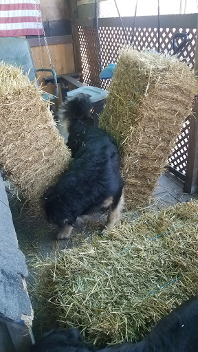 Pet Supply Store «Petco Animal Supplies», reviews and photos, 200 McMahan Blvd, Marion, OH 43302, USA