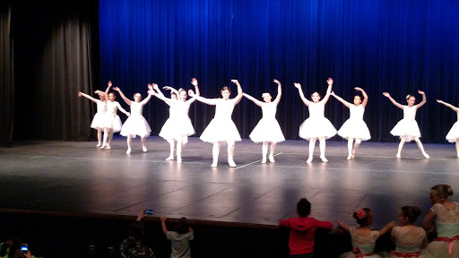 Performing Arts Theater «Jane Tasch Performing Arts Theatre», reviews and photos, 2100 E Michigan 36, Pinckney, MI 48169, USA