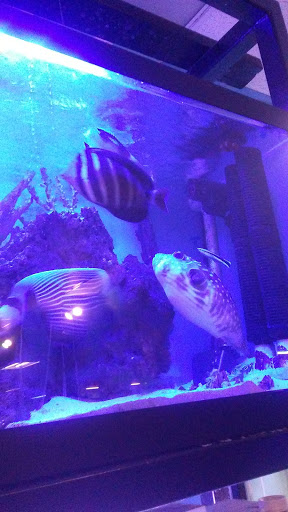 Shopping Mall «Airport Mall», reviews and photos, 1129 Union St, Bangor, ME 04401, USA