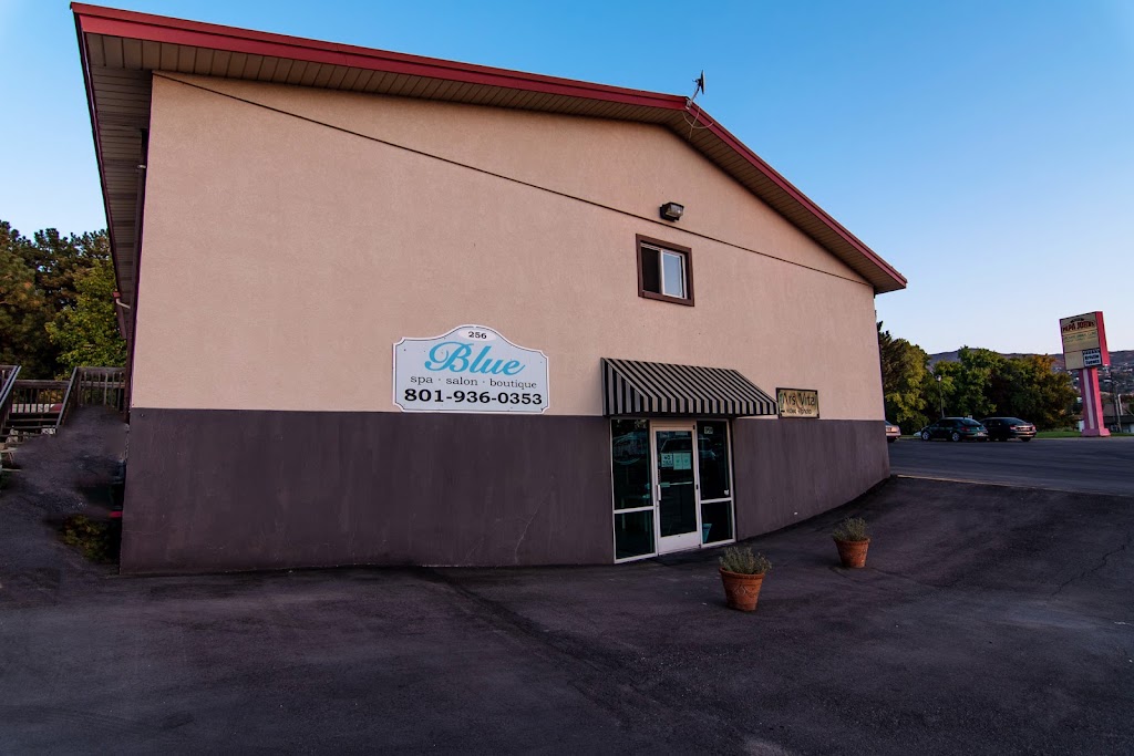 Blue Salon 84054