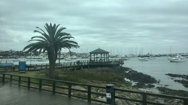 Parking Puerto de Punta del Este - Maldonado