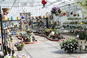 Country Blossoms Greenhouse, LLC image