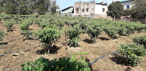 Top 20 cửa hàng thông minh Thị xã Bà Rịa Bà Rịa Vũng Tàu 2022