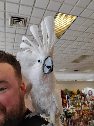 Florist «The Flower Boutique», reviews and photos, 39 N Washington St, Gettysburg, PA 17325, USA