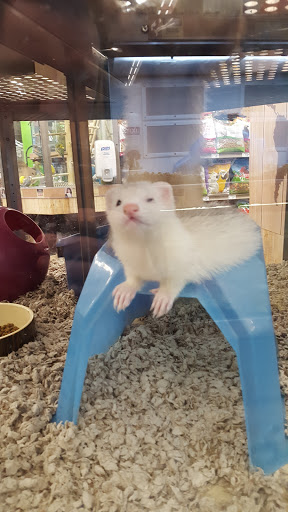 Pet Supply Store «Petco Animal Supplies», reviews and photos, 839 New York Ave, Huntington, NY 11743, USA