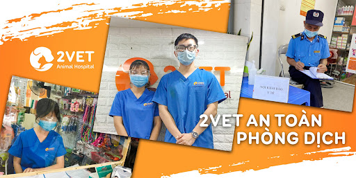 Bệnh viện thú y 2Vet - 2Vet Animal Hospital - Trung tâm dịch ...