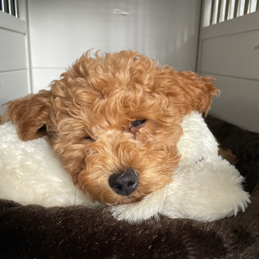 Insurance Agency «Allstate Insurance Agent: Artur Goncalves», reviews and photos