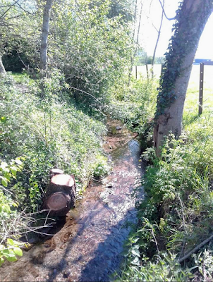 Ruisseau de Briastre à Briastre