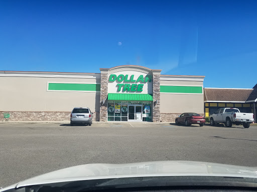 Dollar Store «Dollar Tree», reviews and photos, 556 E Main St, Hohenwald, TN 38462, USA