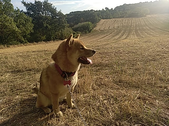 Photo n° 1 de l'avis de nicolas.e fait le 12/10/2022 à 09:54