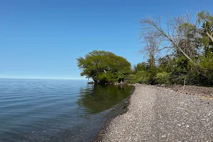 Lake Ontario Sand Beach image