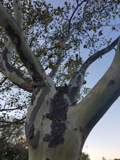 Nature Preserve «Blackwell Forest Preserve», reviews and photos, Butterfield Rd, Warrenville, IL 60555, USA