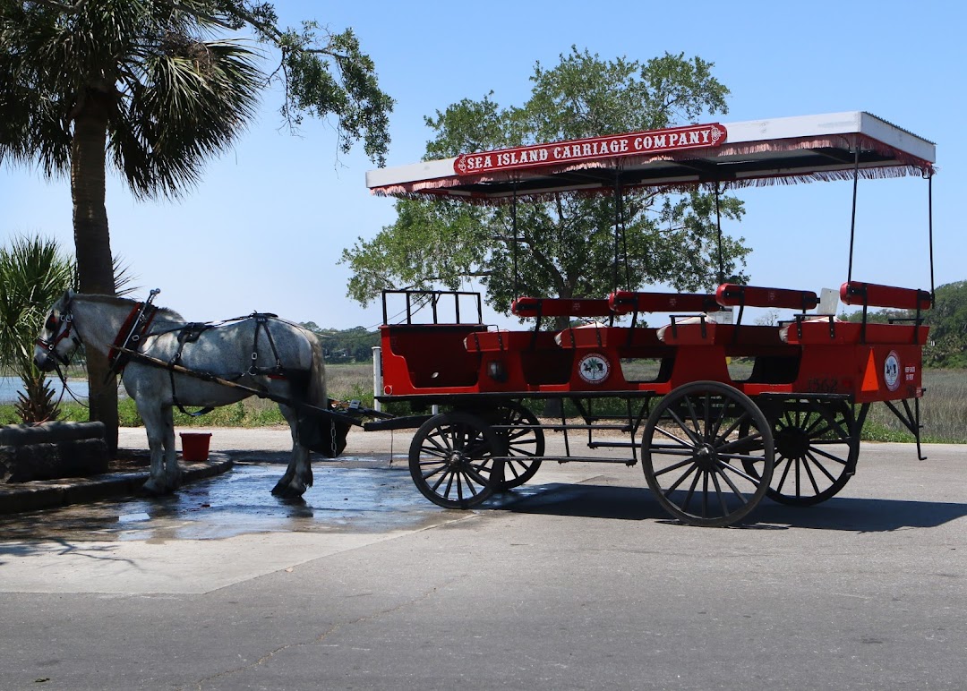Southurn Rose Carriage Tours