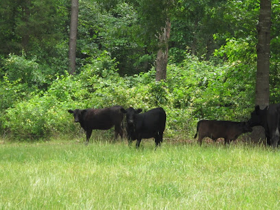 Circle B Ranch - 100% Grass Fed Black Angus Beef and Pasture Raised Pork