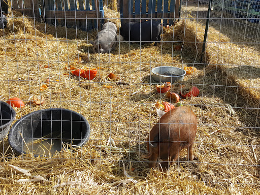 Produce Market «Kuwahara Farms», reviews and photos, 736 12300 S, Draper, UT 84020, USA