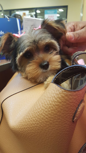 Pet Supply Store «PetSmart», reviews and photos, 11400 Financial Centre Pkwy, Little Rock, AR 72211, USA