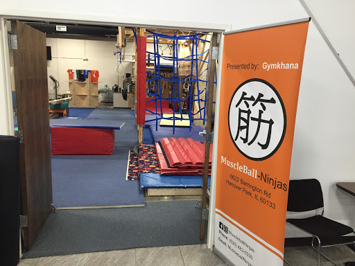 Gymnastics Center «Gymkhana Gymnastics», reviews and photos, 6622 Barrington Rd, Hanover Park, IL 60133, USA