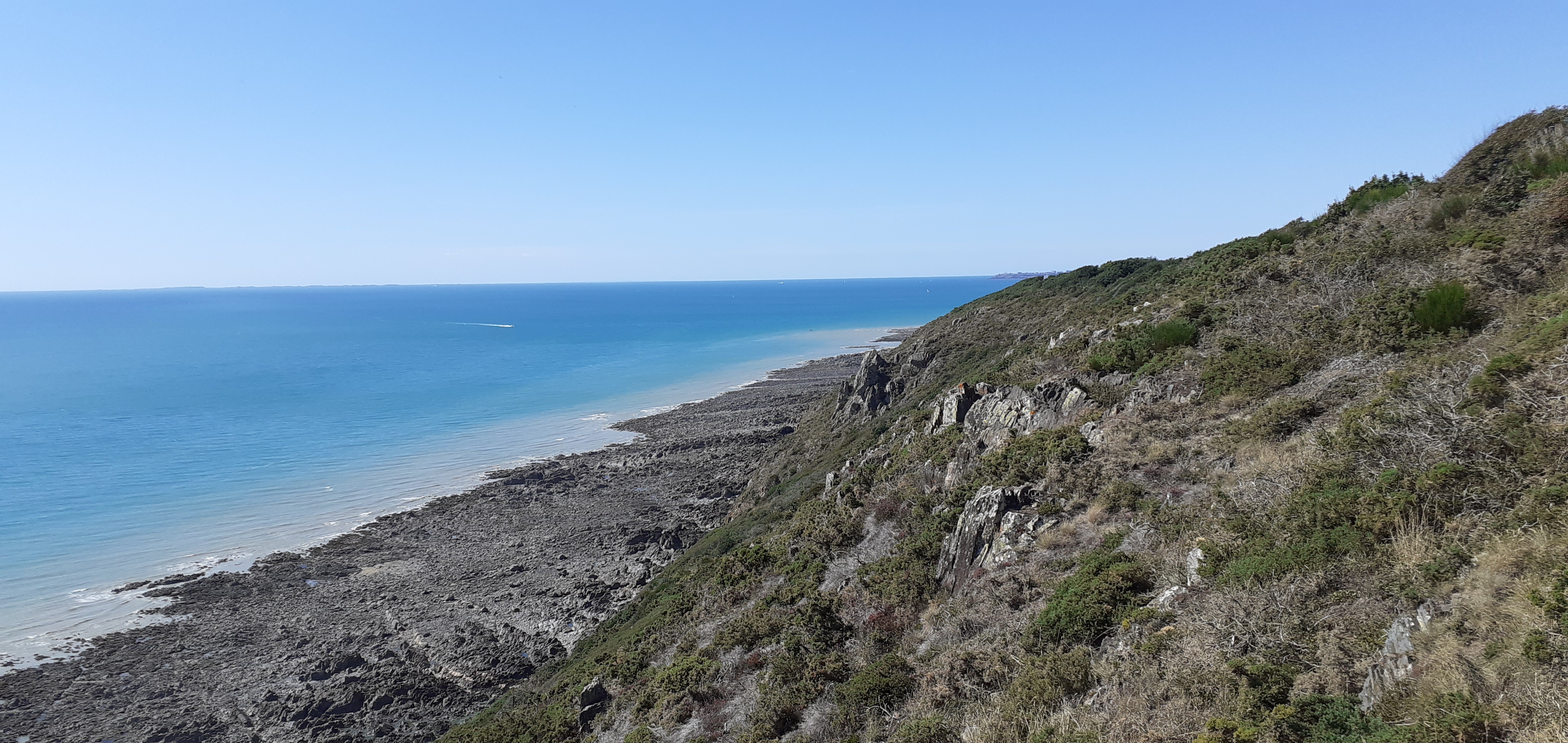 Photo n° 9 de l'avis de Cédric. fait le 22/07/2020 à 14:05