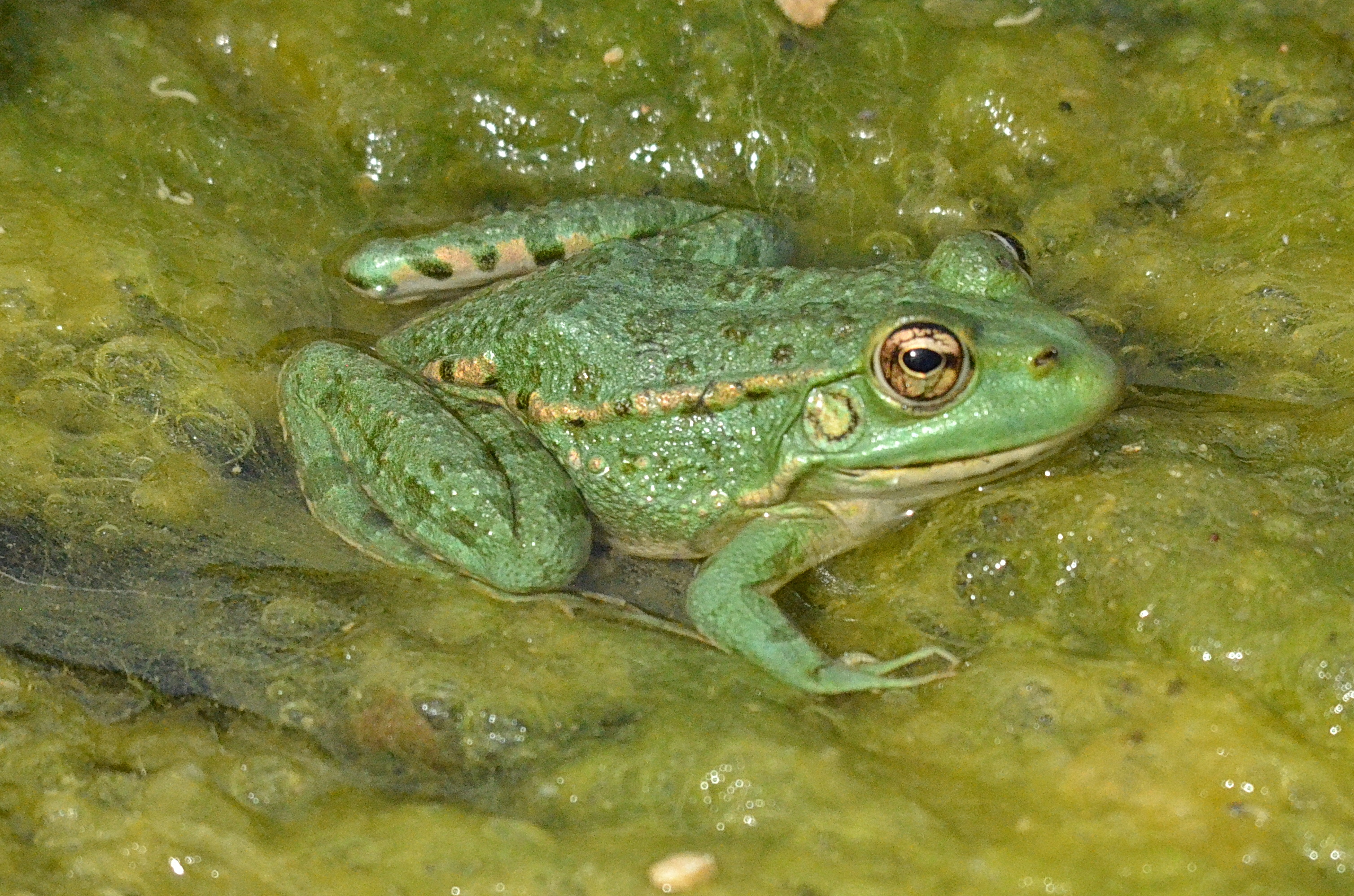 Photo n° 10 de l'avis de Nick.e fait le 27/09/2023 à 16:09